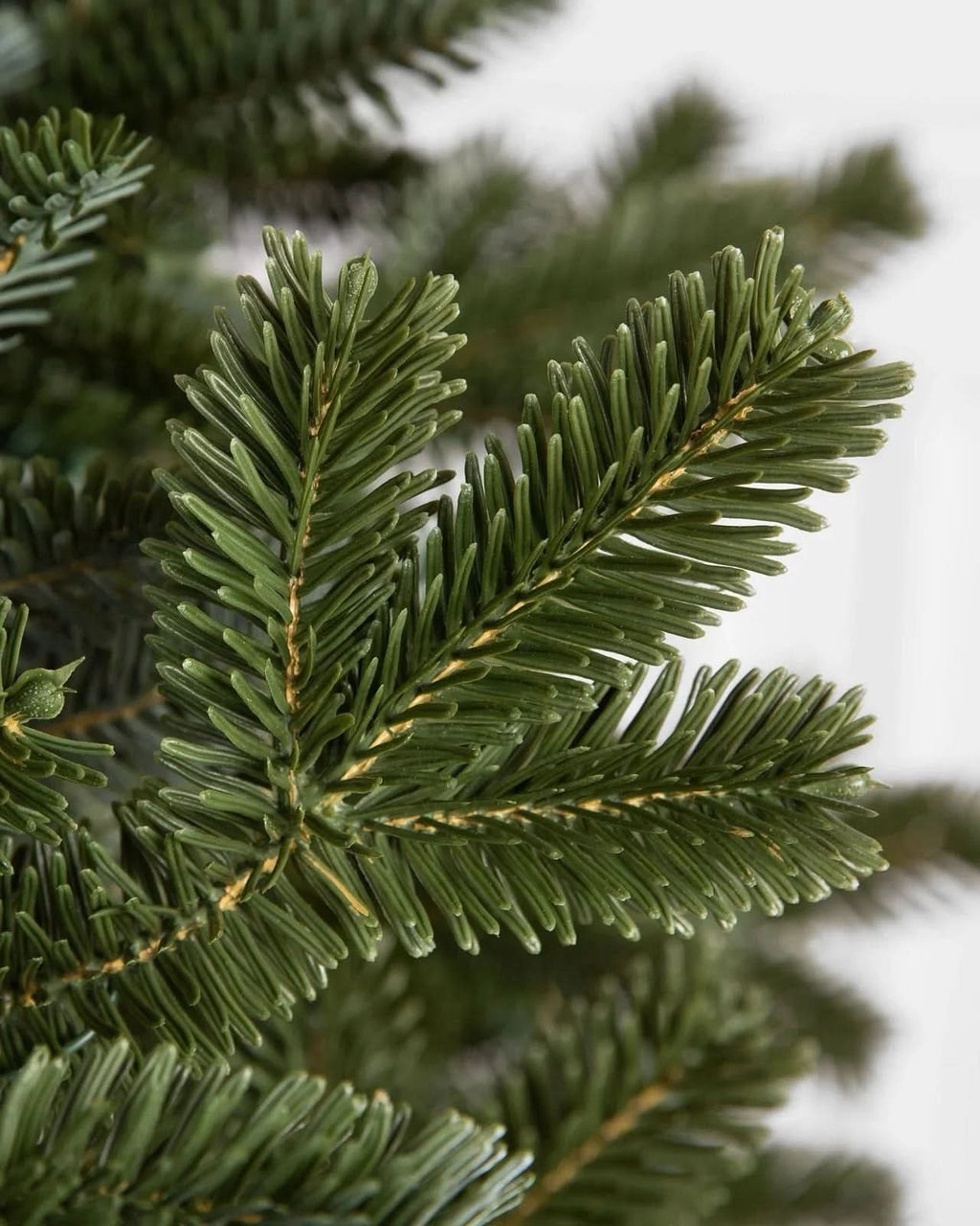 Árvore de Natal Fraser Fir com Galhos Articulados, Suporte Metálico e Micro LEDs Coloridos Embutidos